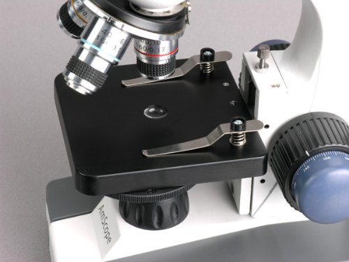 AmScope M150C-PS10 Compound Monocular Microscope, WF10x and WF25x Eyepieces, 40x-1000x Magnification, LED Illumination, Brightfield, Single-Lens Condenser, Coaxial Coarse and Fine Focus, Plain Stage, 110V, Includes Set of 10 Prepared Slides