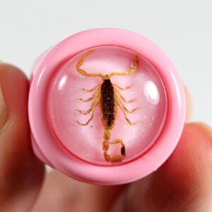 REALBUG Golden Scorpion Pink Ring Size 6