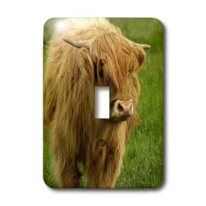 3dRose lsp_82799_1 Scotland, Highland Cow, Farm Animal Eu36 Cmi0128 Cindy Miller Hopkins Single Toggle Switch