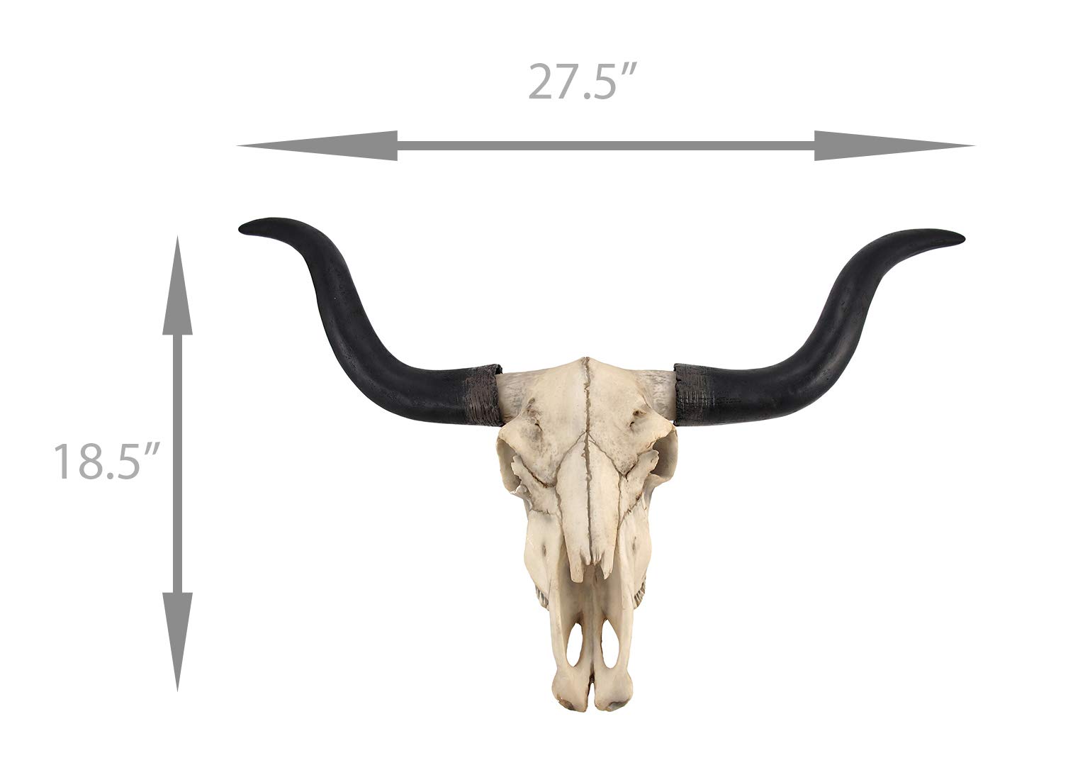 Long Horn Cow Skull Wall Hanging Longhorn Steer