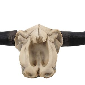 Long Horn Cow Skull Wall Hanging Longhorn Steer