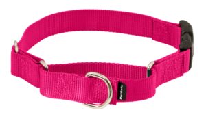 petsafe martingale dog collar with quick-snap buckle - medium, 1 inch, raspberry