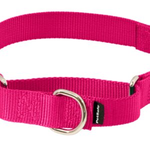 PetSafe Martingale Dog Collar with Quick-Snap Buckle - Medium, 1 Inch, Raspberry