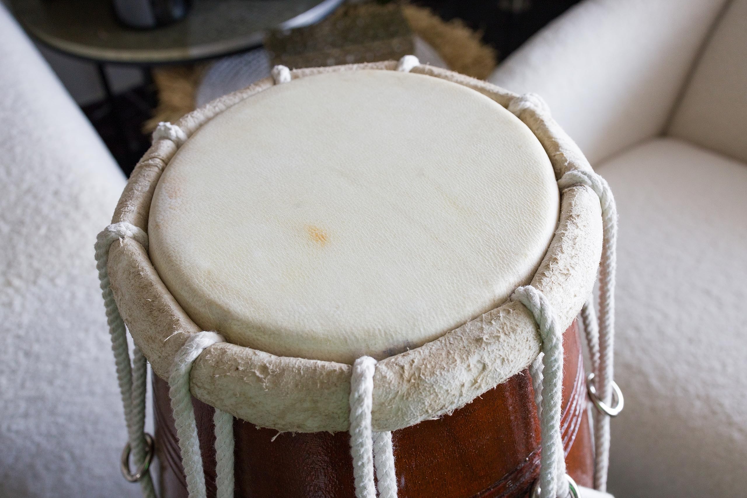 Special Dholak Drum by Maharaja Musicals, Professional Quality, Sheesham Wood, Padded Bag, Spanner, Dholki Musicals Instrument (PDI-BBC)