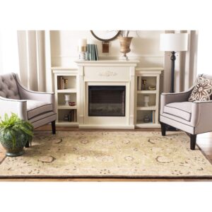 SAFAVIEH Anatolia Collection Accent Rug - 4' x 6', Sage & Beige, Handmade Traditional Oriental Wool, Ideal for High Traffic Areas in Entryway, Living Room, Bedroom (AN512C)