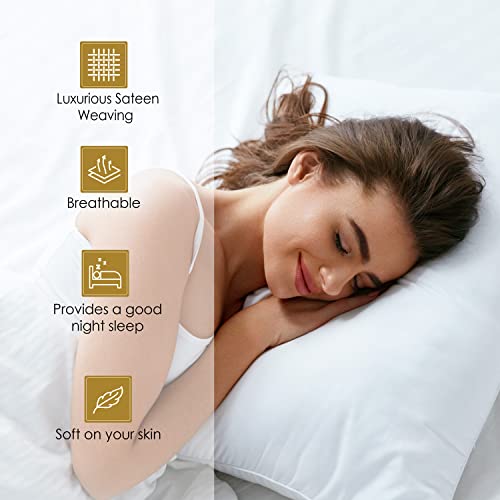 Superior Egyptian Cotton 4 Piece Sheet Set, Luxury 1500 Thread Count, Eco-Friendly, Sustainable Sheets, Ultra-Soft Basics, Solid, Deep Pocket Fitted Sheet, Flat Sheet, Pillowcases, Queen, Grey