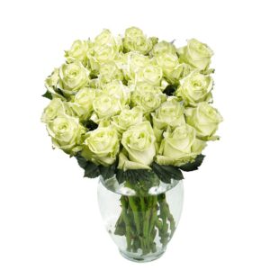 50 Fresh Cut Green Roses - Fresh Flowers For Valentines Day