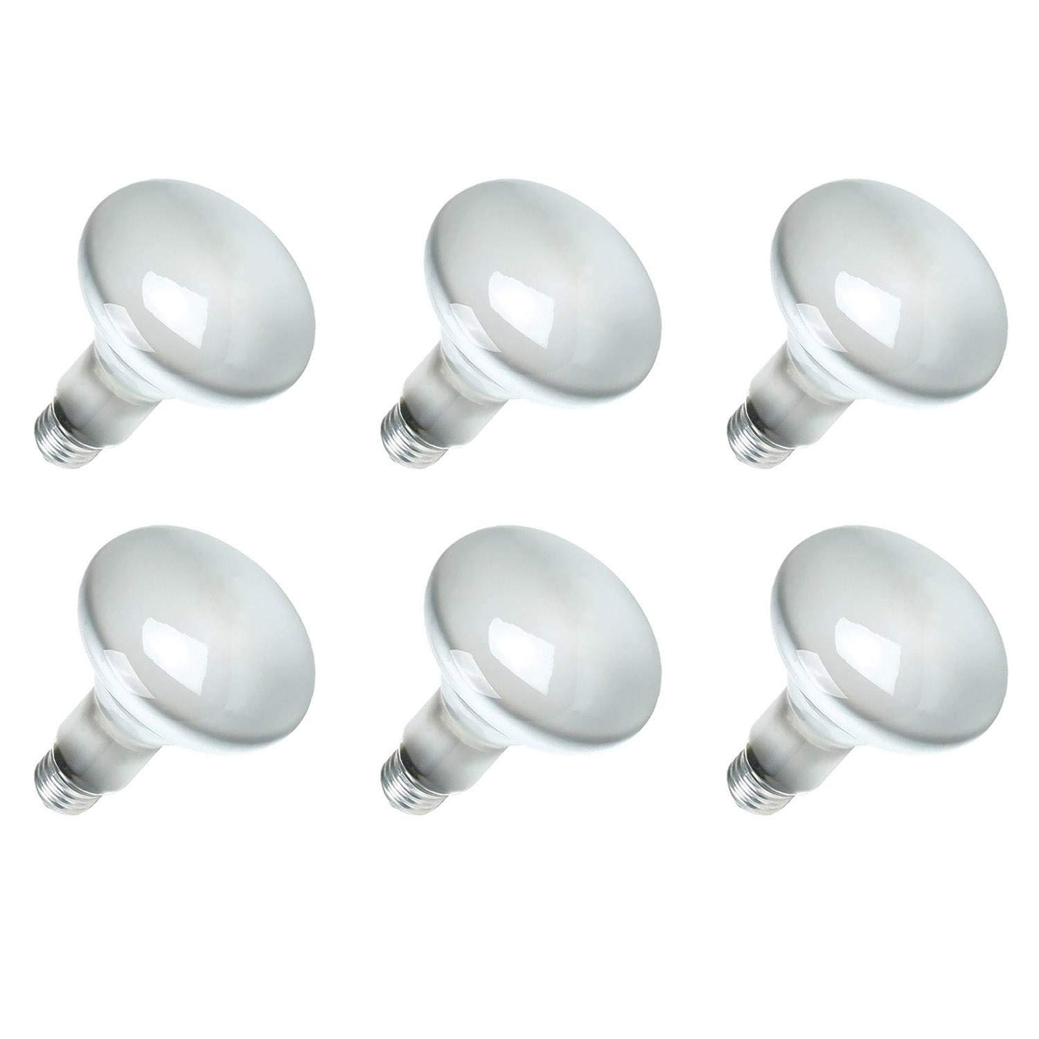 Sylvania 15160-6 120-Volt 65-Watt Flood Lamp Bulbs (6 Pack)