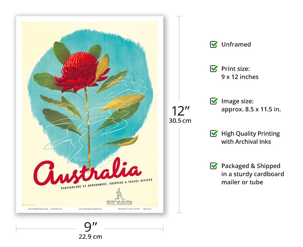 Australia - Red Waratah (Telopea) Flower - New South Wales (NSW) State Emblem - Vintage Travel Poster by Gert Sellheim c.1935 - Master Art Print (Unframed) 9in x 12in