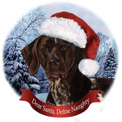 Pet Gifts USA German Shorthaired Dog Santa Hat Christmas Ornament Porcelain China U.s.a. Gift