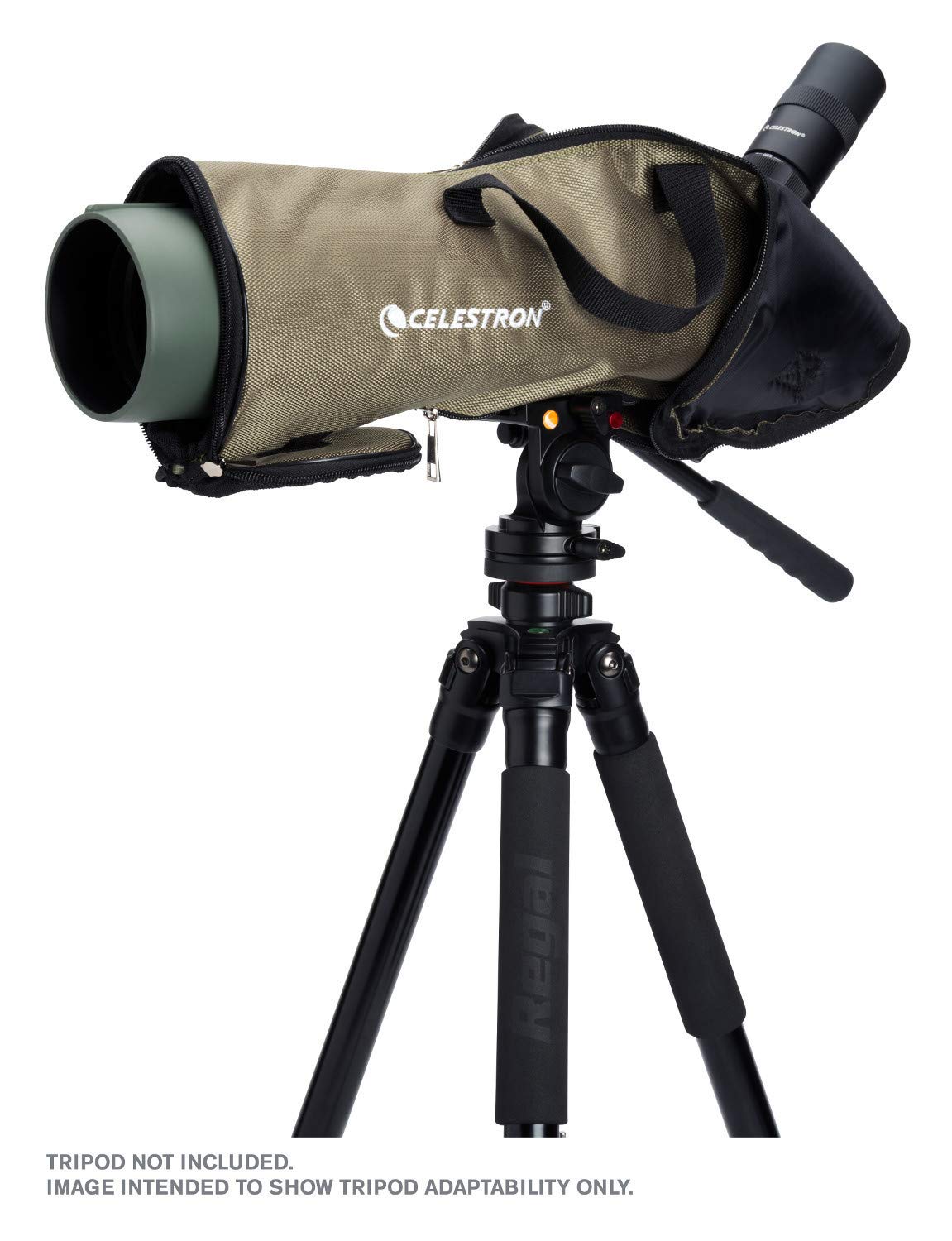 Celestron Regal M2 80ED Spotting Scope – Fully Multi-Coated Optics – Hunting Gear – ED Objective Lens for Bird Watching, Hunting and Digiscoping – Dual Focus – 20-60x Zoom Eyepiece