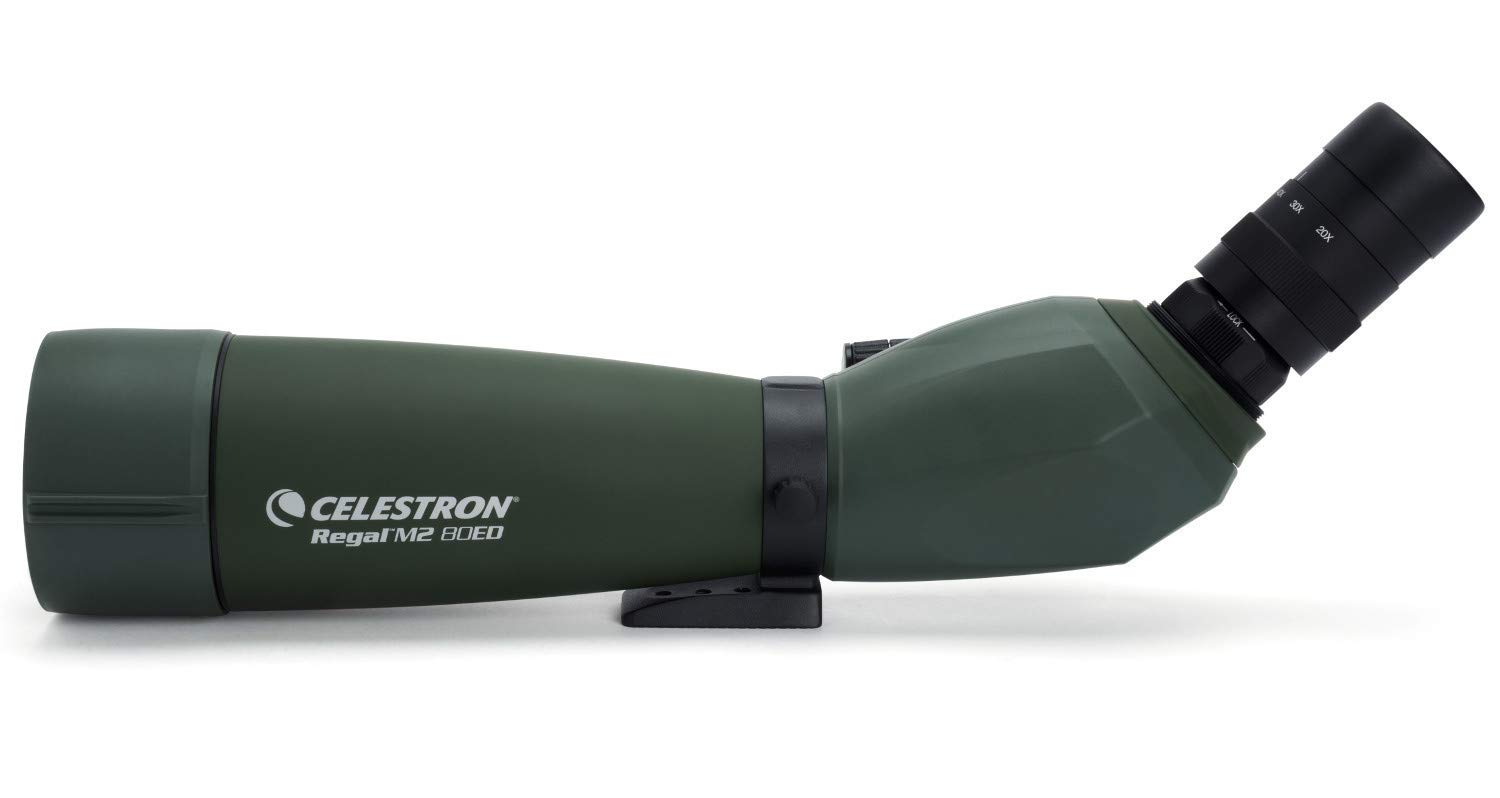 Celestron Regal M2 80ED Spotting Scope – Fully Multi-Coated Optics – Hunting Gear – ED Objective Lens for Bird Watching, Hunting and Digiscoping – Dual Focus – 20-60x Zoom Eyepiece