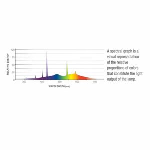 Aqueon Full Spectrum Daylight T8 Fluorescent Bulb, 24", 17 Watts