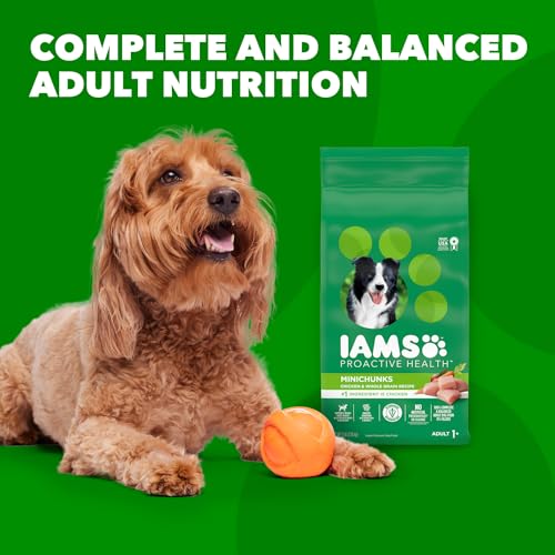 IAMS PROACTIVE HEALTH Adult Minichunks Small Dry Dog Food Chicken Dog Kibble, 50 lb. Bag