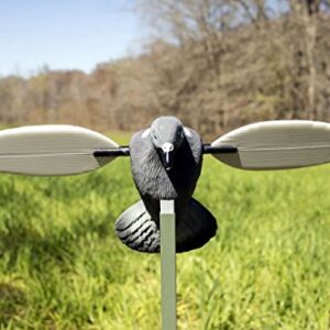 MOJO Outdoors Pigeon Decoy, Small 51-55cm,Multi,One Size,HW2410