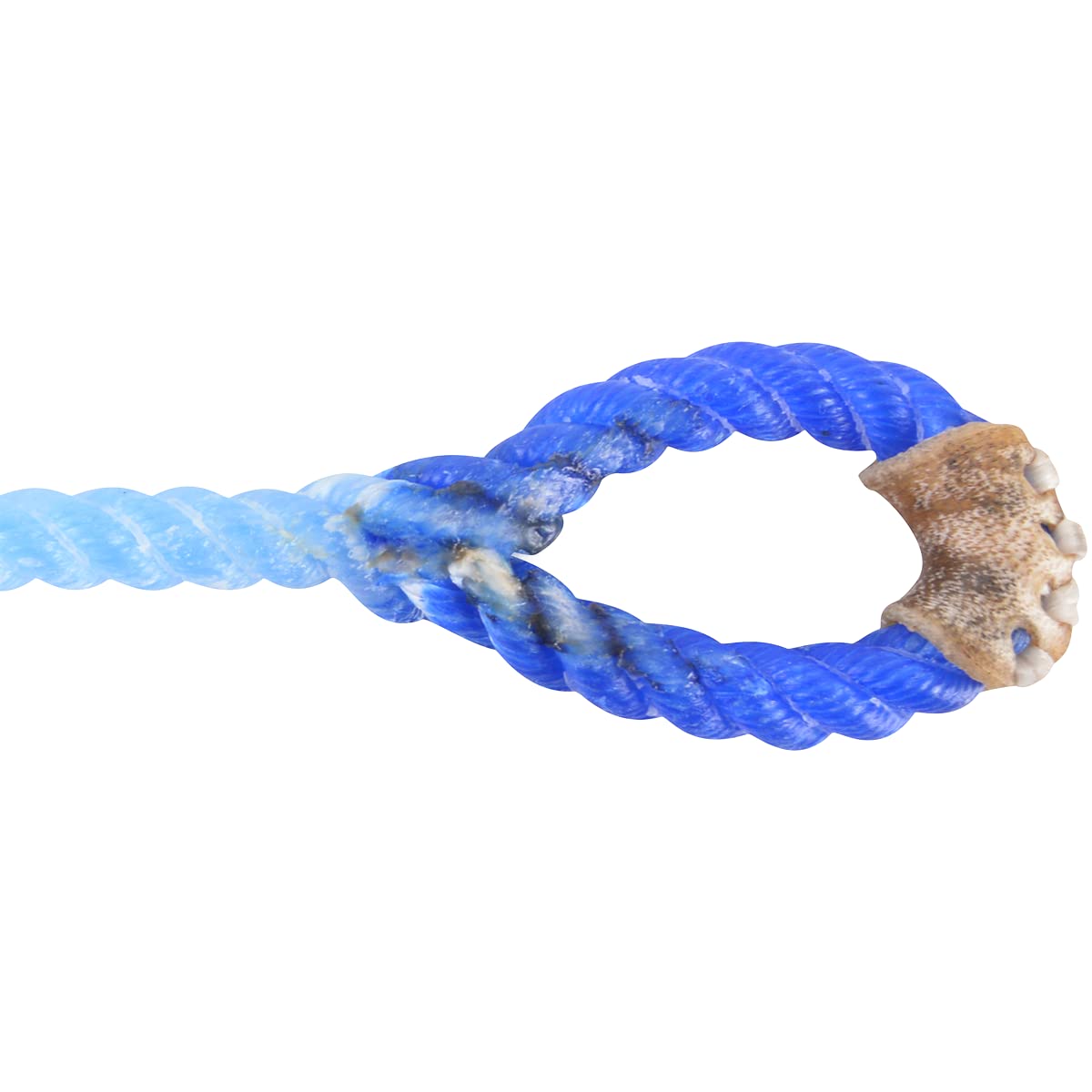 RATTLER ROPES Racer Calf Piggin String, Blue Eye 1/4-inch, Blue, Medium Hard