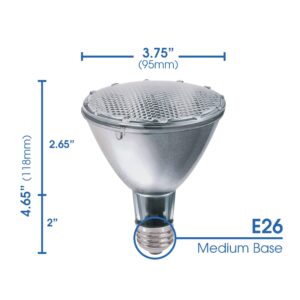 GE Lighting 69168 38-watt PAR30 Long Neck, 550-Lumens, Energy-Efficient Halogen Floodlight Bulb with Medium Base, (1-Pack)