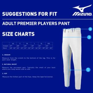 Mizuno Mens Premier Players Adult Baseball Pant With Elastic Bottom, Dark Charcoal, Small US