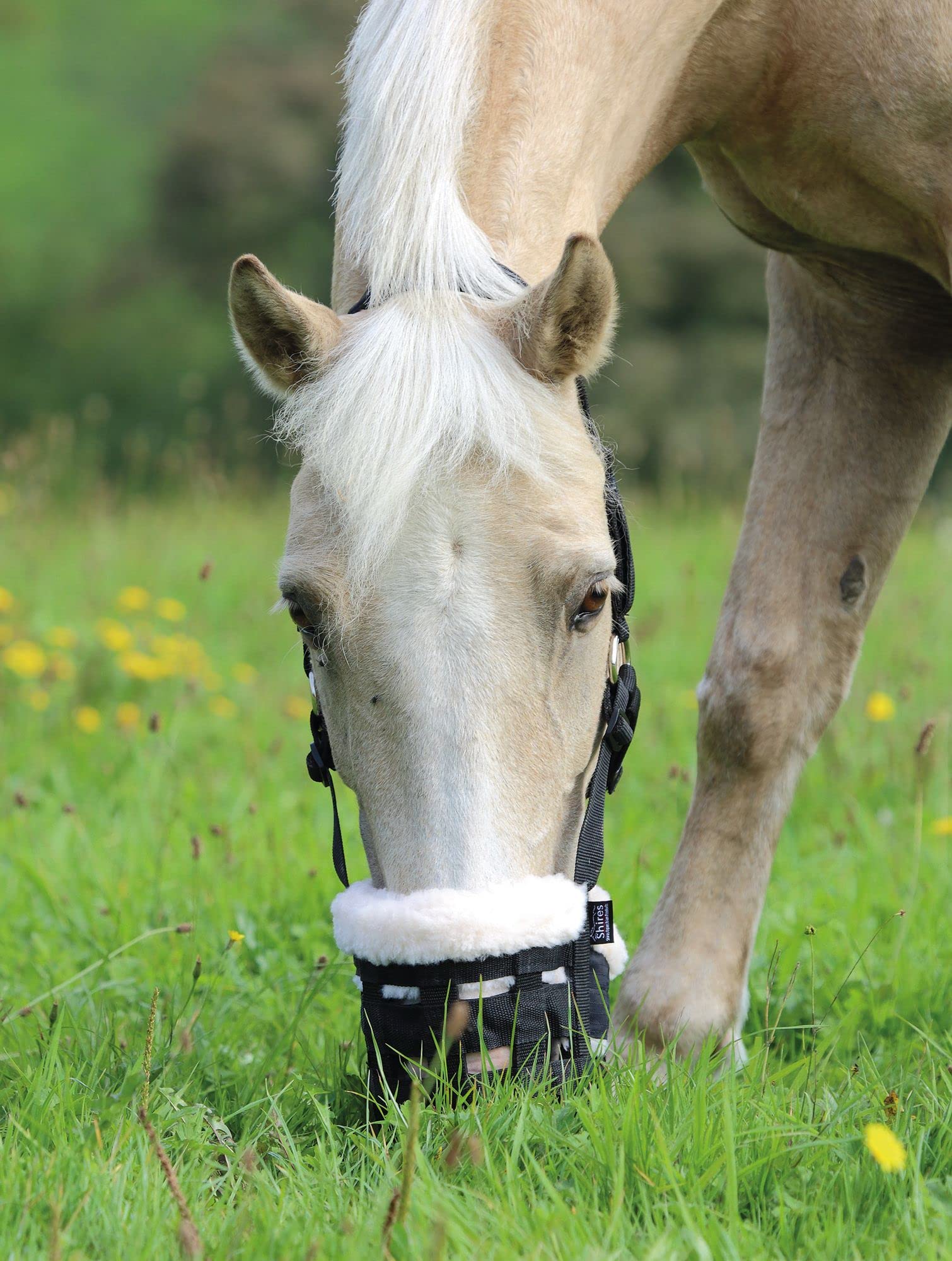 Shires Deluxe Grass Feeding Grazing Muzzle Full