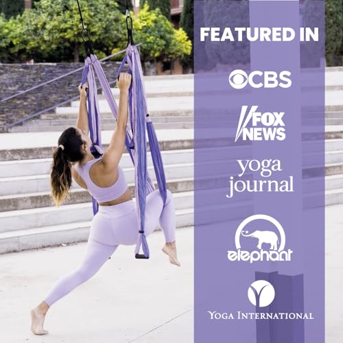 Yoga Trapeze Swing Set for Home & Outdoor | Easy Setup for Strength, Balance & Back Pain Relief | Adjustable Straps & 600lb Capacity, Includes Carrying Bag & Online Tutorials, Purple