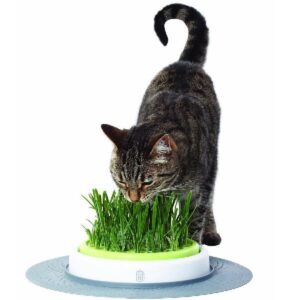 Catit Senses 2.0 Cat Grass Planter, Interactive Cat Toys