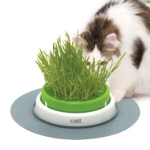 catit senses 2.0 cat grass planter, interactive cat toys