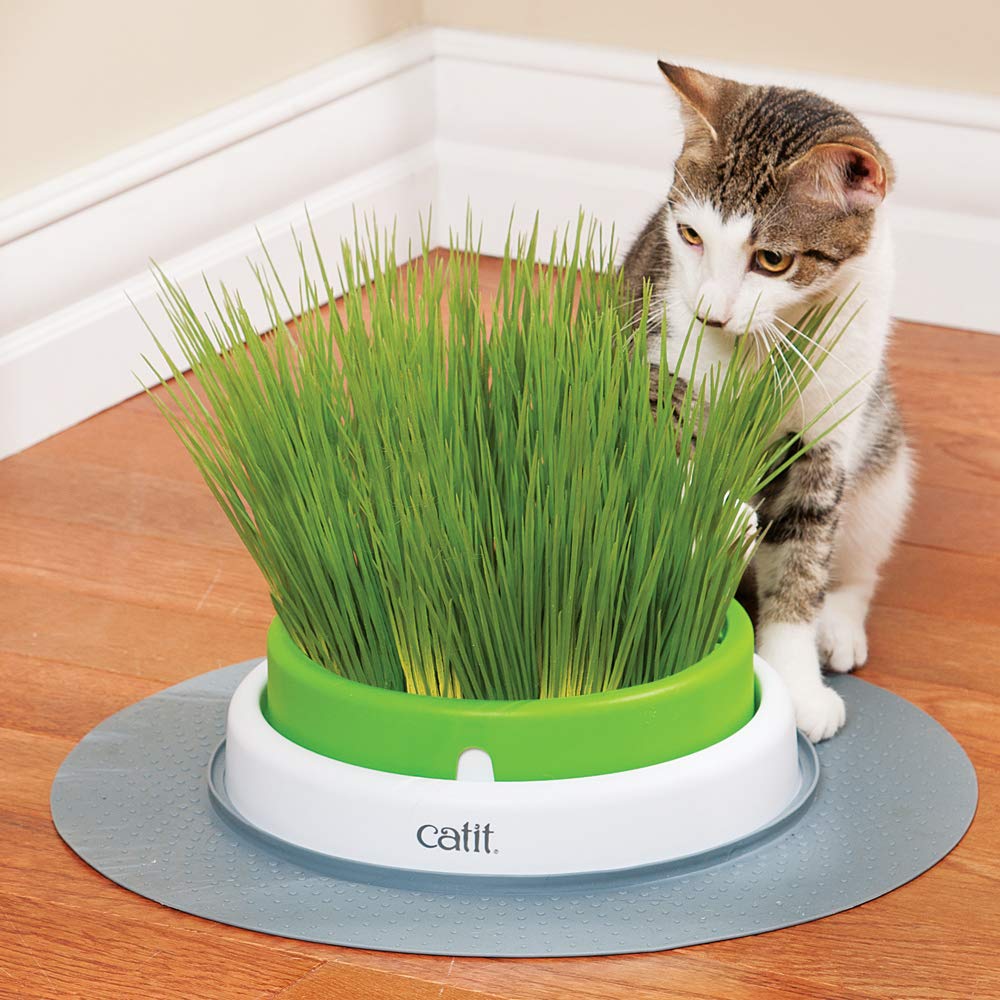 Catit Senses 2.0 Cat Grass Planter, Interactive Cat Toys