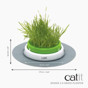 Catit Senses 2.0 Cat Grass Planter, Interactive Cat Toys