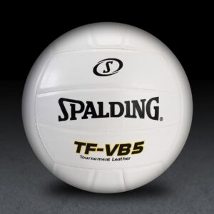 spalding tf-vb5 white