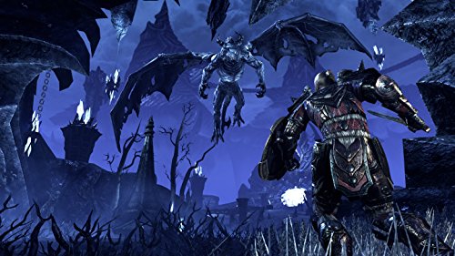 The Elder Scrolls Online: Tamriel Unlimited - PlayStation 4