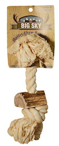 Scott Pet 5/8" X 8" 1 Piece Rope Toy With Antler, Small, White