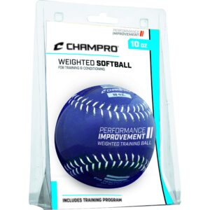 champro weighted training softballs - leather cover (10 oz.) (csb7cs)