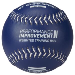 Champro Weighted Training Softballs - Leather Cover (10 oz.) (CSB7CS)