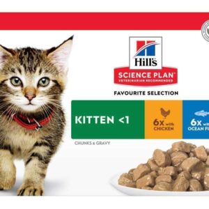 Hills Science Plan Kitten Original Multipack 12 Pack 85g