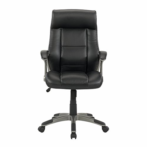 Sauder Gruga Leather Managers Chair, Black finish