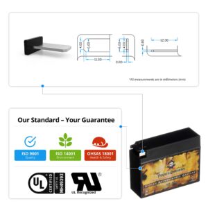 Pirate Battery 4B-BS Maintenance Free Replacement Battery for Suzuki and Yamaha Motorcycle: 12 Volts, 3 Amps, 2.3 Ah, Tab Terminal