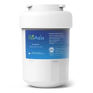 EcoAqua EFF-6013A Replacement Filter, Compatible with GE MWF SmartWater, MWFA, MWFP, GWF, GWFA, 46-9991, HDX FMG-1, WFC1201, GSE25GSHECSS, PC75009, RWF1060 Refrigerator Water Filter, 1 Pack