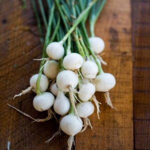 Onion Seeds (Pearl/Pickling) - Crystal White Wax - Packet - Vegetable Seeds, Heirloom Seed Root Vegetable, Container Garden