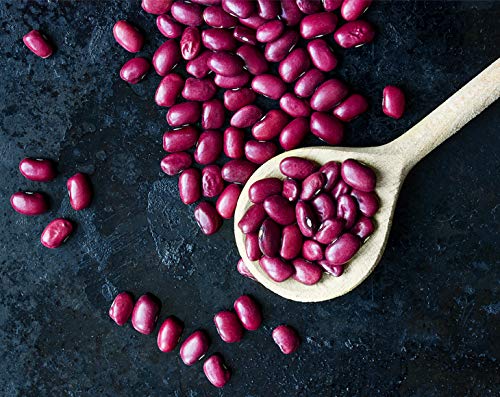 Food to Live - Adzuki Beans, 10 Pounds Whole Dried Azuki Beans (Red Mung Beans), Raw, Vegan, Kosher, Sproutable, Bulk. Perfect for Red Bean Paste, and Asian Dishes.