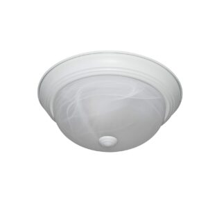 Designers Fountain 11 in 2-Light Flush Mount Ceiling Light, White, 1257S-WH-AL