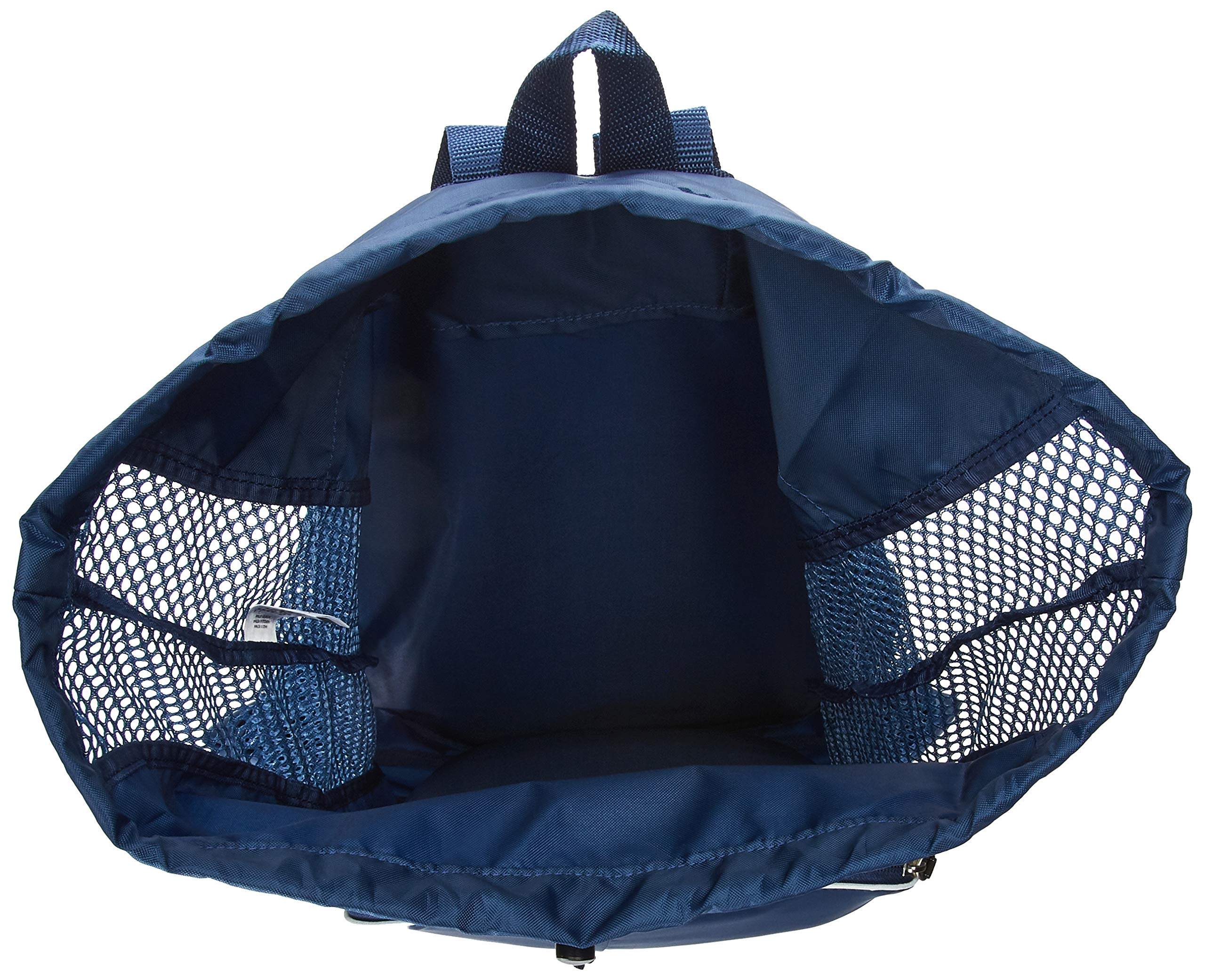 Speedo Unisex-Adult Deluxe Ventilator Mesh Equipment Bag , Insignia Blue