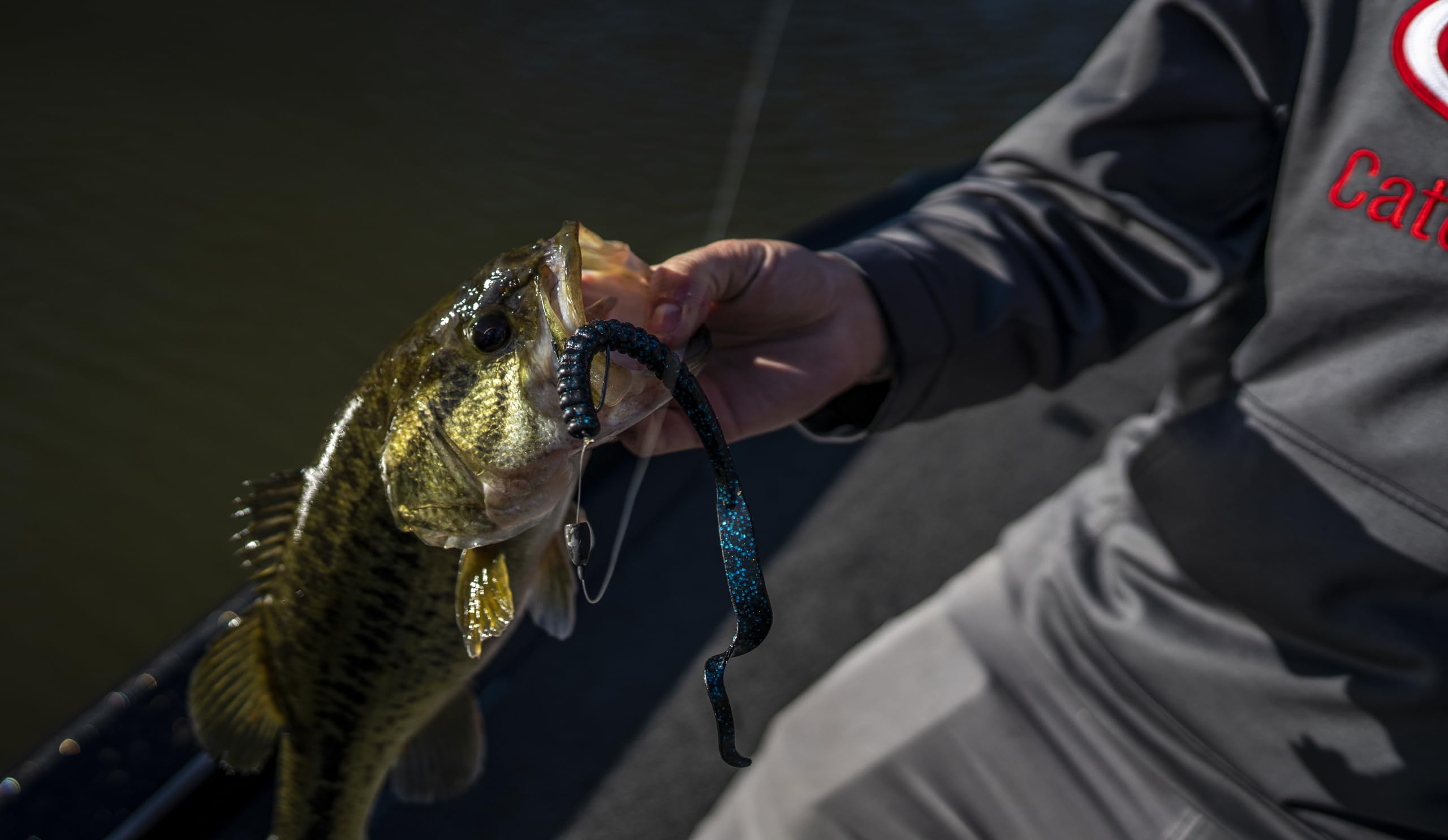 Berkley PowerBait® Power Worm Fishing Bait, Strawberry Glitter/Red, 7in | 18cm, Irresistible Flavor, Classic Curly Tail Worm Profile, Ideal for Spring, Summer and Fall Fishing