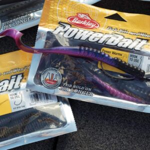 Berkley PowerBait® Power Worm Fishing Bait, Red Shad, 10in | 25cm, Irresistible Flavor, Classic Curly Tail Worm Profile, Ideal for Spring, Summer and Fall Fishing