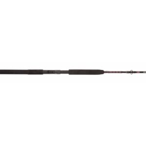 PENN Rampage Jig 6’6” Nearshore/Offshore Spinning Rod; 1-Piece Fishing Rod, 30-80lb Line Rating, Medium Rod Power, Moderate Fast Action, 2-5 oz. Lure Rating