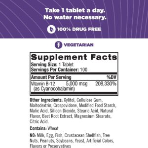 Natrol Fast Dissolving Vitamin B12 - 5000 mcg - 100 tabs