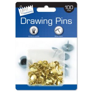 just stationery drawing pins on blister card (pack of 100)