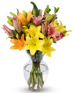 benchmark bouquets - 12 stem asiatic lilies (glass vase included), next-day delivery, gift fresh flowers for birthday, anniversary, get well, sympathy, graduation, congratulations, thank you