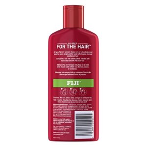 Old Spice Fiji 2in1 Shampoo And Conditioner 12 Fl Oz, 12.000-Fluid Ounce