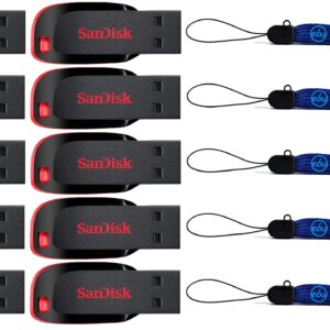 SanDisk Cruzer Blade 8GB (10 pack) USB 2.0 Flash Drive Jump Drive Thumb Drive SDCZ50-008G-10PK w/ (5) Everything But Stromboli (TM) Lanyard