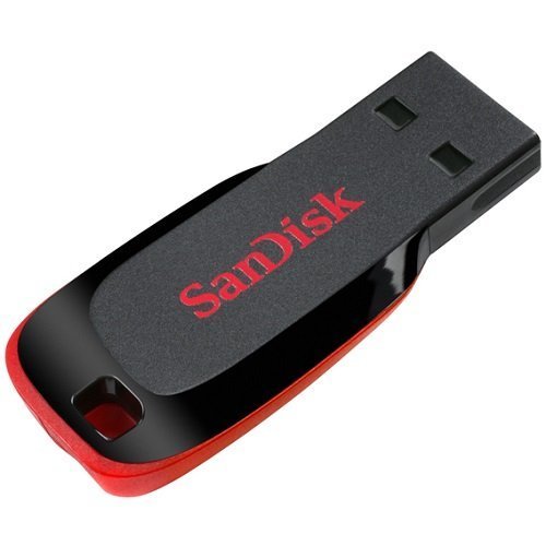 SanDisk Cruzer Blade 8GB (10 pack) USB 2.0 Flash Drive Jump Drive Thumb Drive SDCZ50-008G-10PK w/ (5) Everything But Stromboli (TM) Lanyard